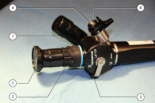 Bronchoscope (fiberoptic)
