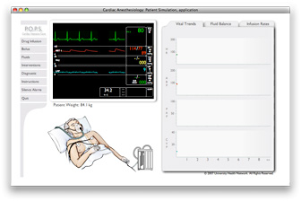 screen capture of POPS simulation