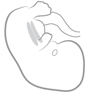 responsive heart module