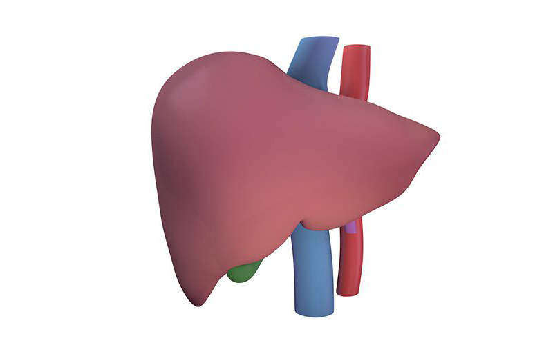 Biomedical communications for liver transplants Biomedical communications for liver transplants