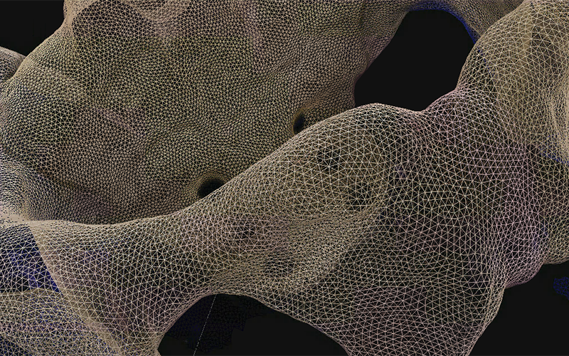 Surgical Photogrammetry Surgical Photogrammetry