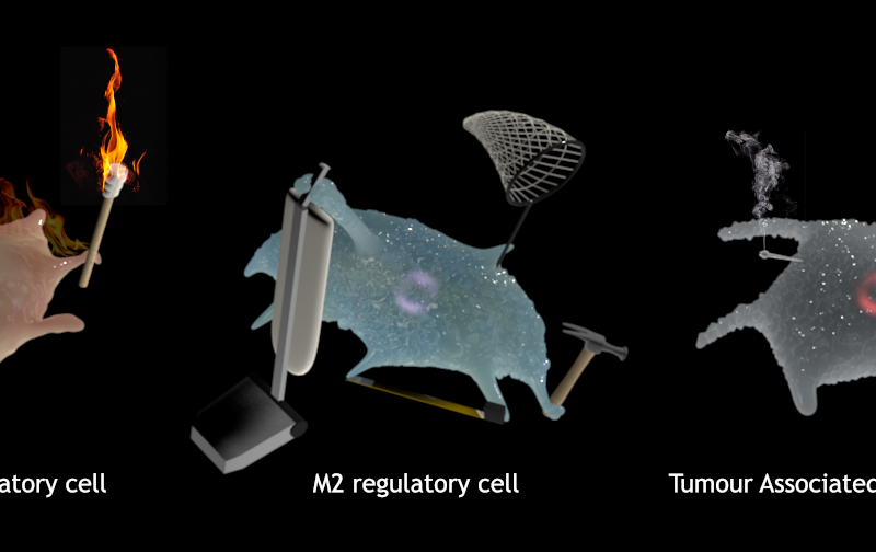 Nanoparticle research in the McGilvray & MacParland Labs – Pt2 Nanoparticle research in the McGilvray & MacParland Labs – Pt2