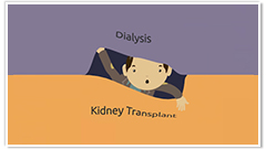 Living donor kidney transplant