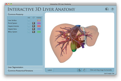 VIRTUAL Liver screenshot