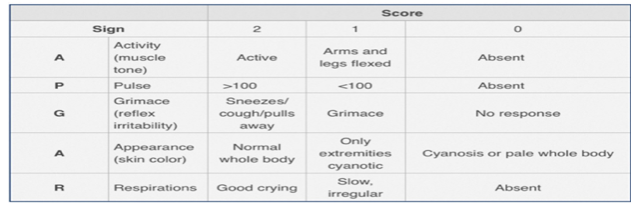 Pediatric airway