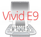 GE Vivid E9 image