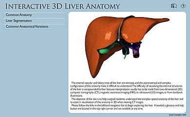 screen capture of virtual liver application